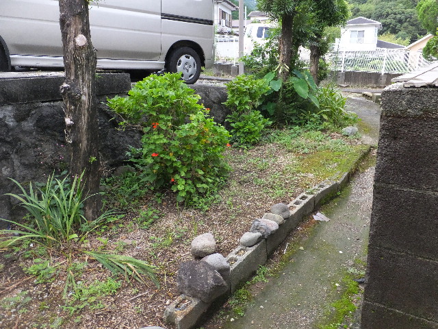 �ɓ� �s���Y 5