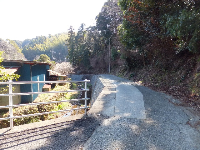 �ɓ� �s���Y 24