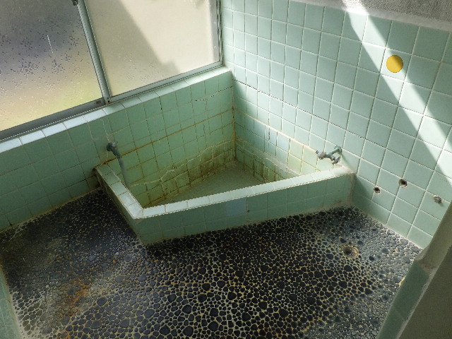 �ɓ� �s���Y 12