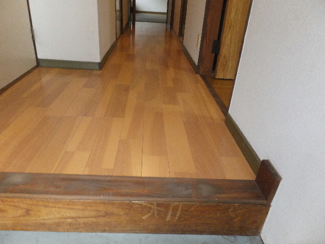 �ɓ� �s���Y 10