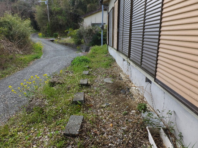 �ɓ� �s���Y 7