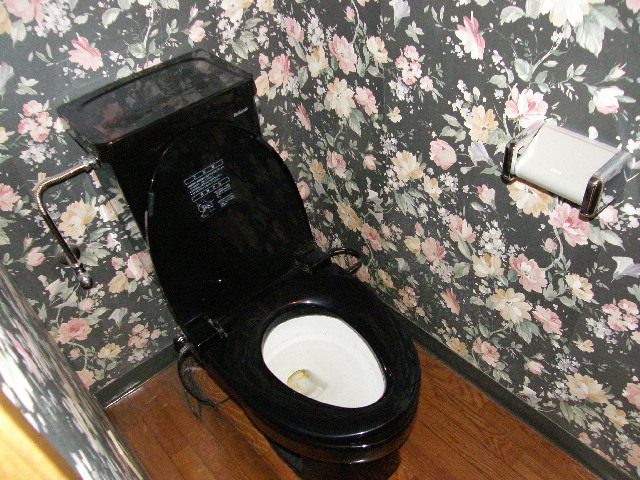 �ɓ� �s���Y 14