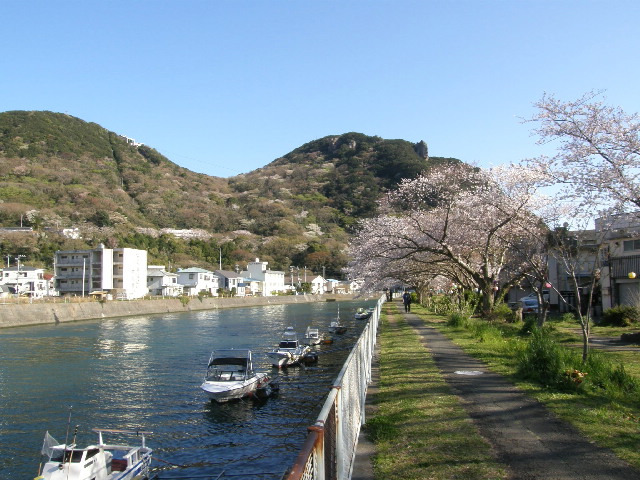 �ɓ� �s���Y 25