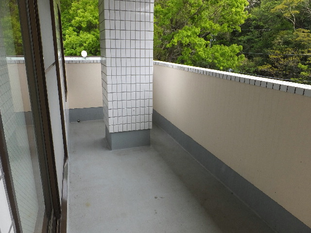 �ɓ� �s���Y 23