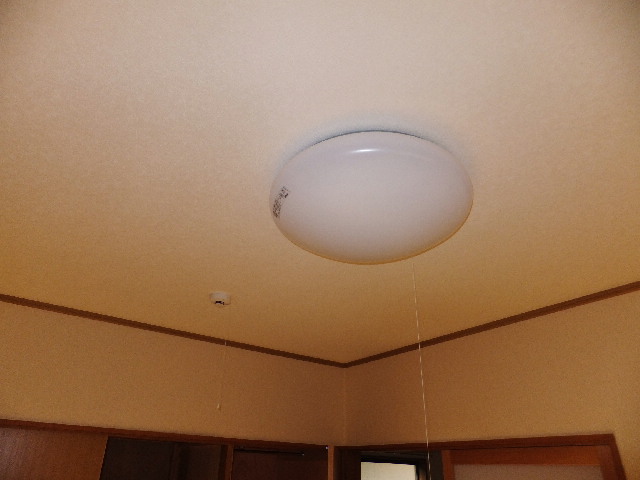 �ɓ� �s���Y 24