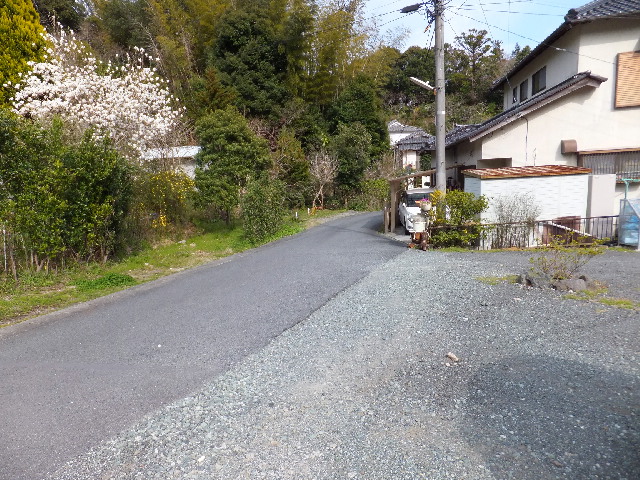 �ɓ� �s���Y 6