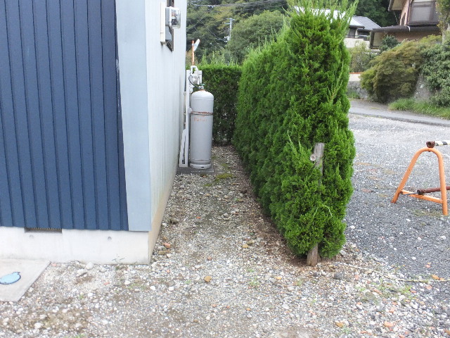 �ɓ� �s���Y 9