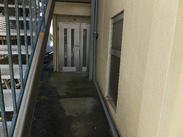 �ɓ� �s���Y 10