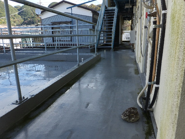 �ɓ� �s���Y 8