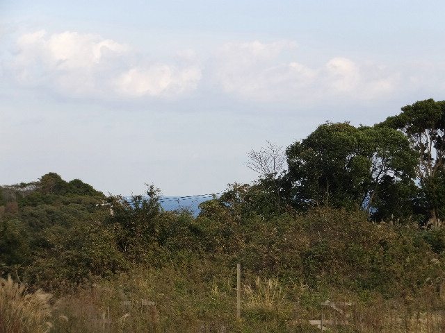 �ɓ� �s���Y 25