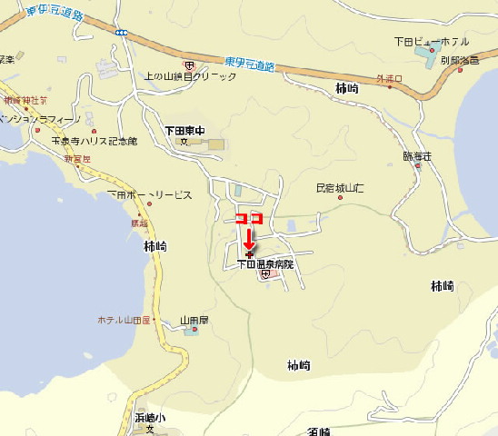 �ɓ� �s���Y 3