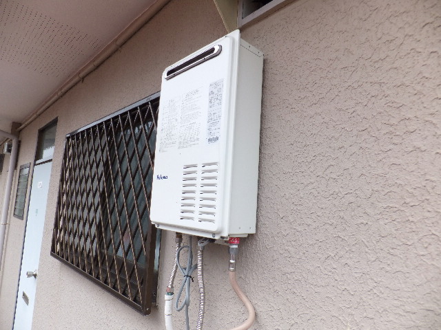 �ɓ� �s���Y 10