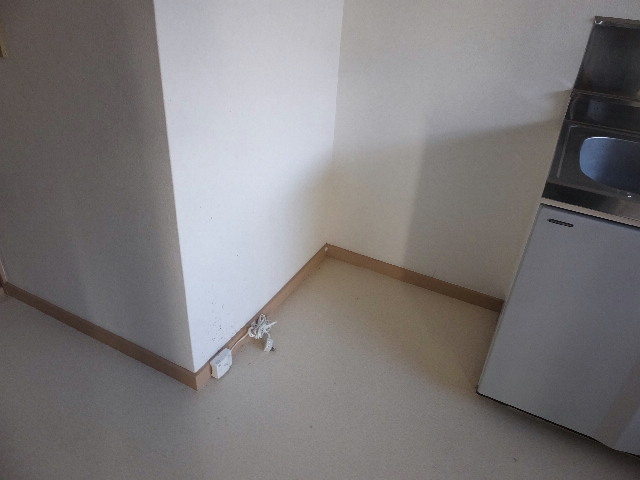 �ɓ� �s���Y 12