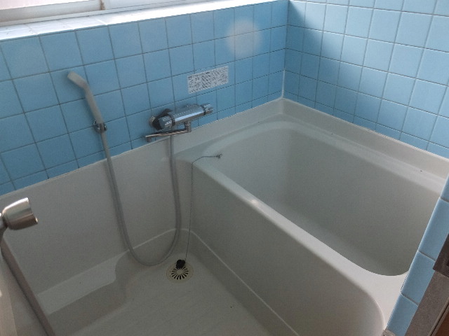 �ɓ� �s���Y 15