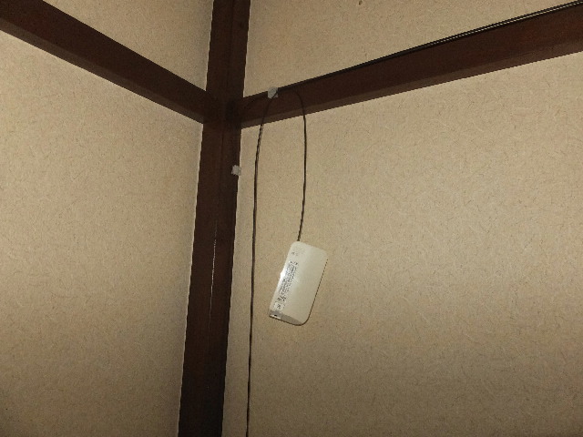 �ɓ� �s���Y 19