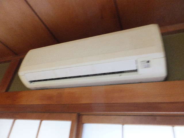 �ɓ� �s���Y 24