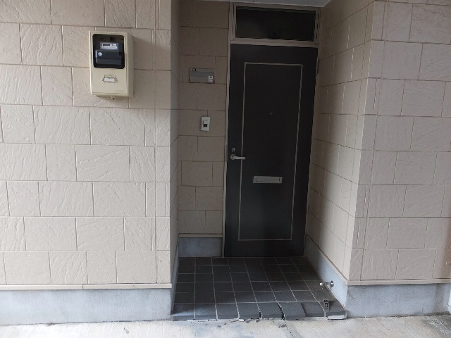 �ɓ� �s���Y 10