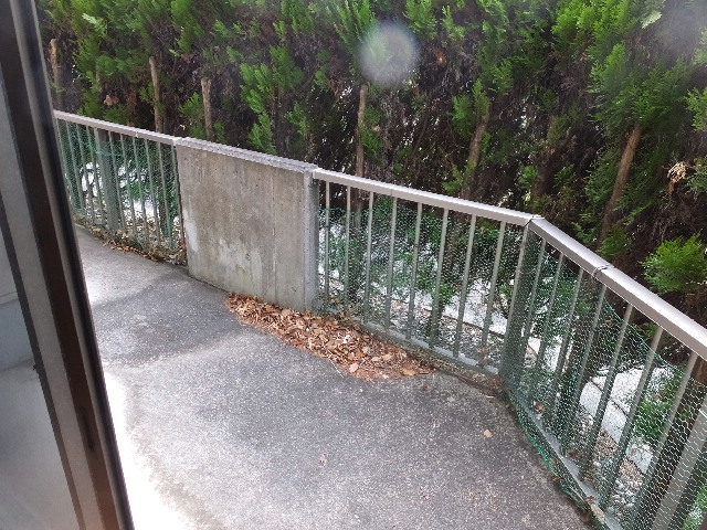 �ɓ� �s���Y 24