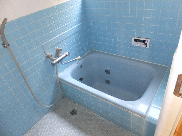 �ɓ� �s���Y 11