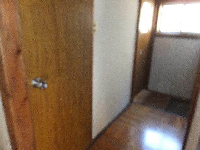 �ɓ� �s���Y 24