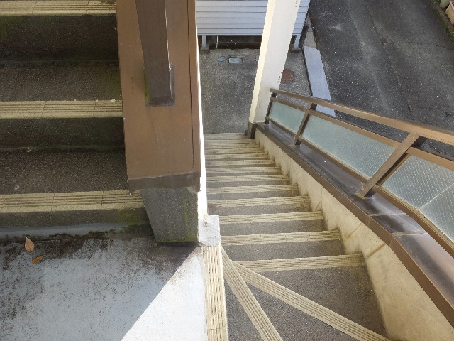 �ɓ� �s���Y 10