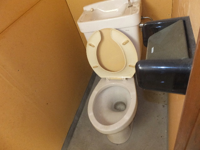 �ɓ� �s���Y 13