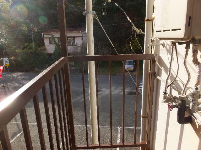 �ɓ� �s���Y 16