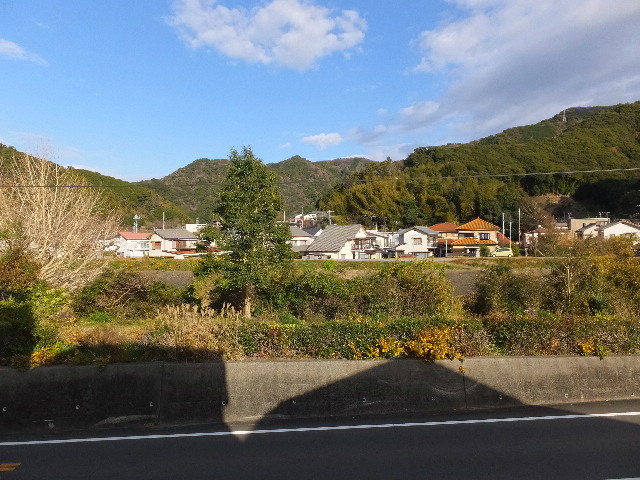 �ɓ� �s���Y 24