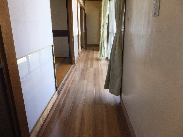 �ɓ� �s���Y 11