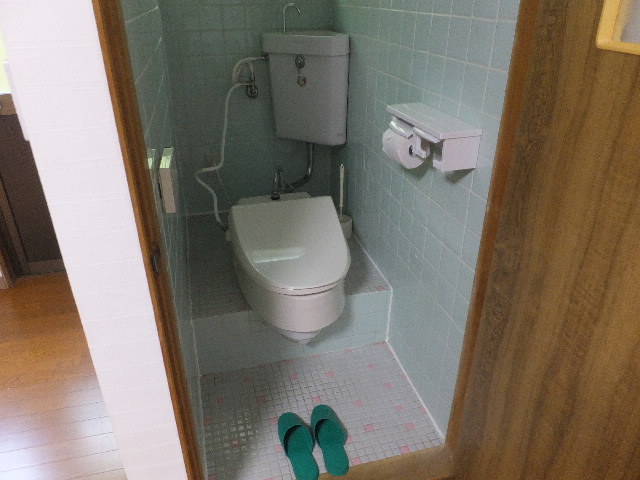 �ɓ� �s���Y 17