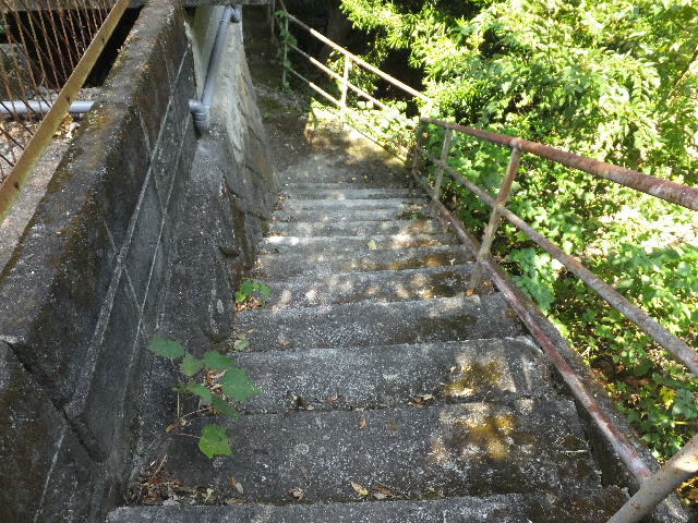 �ɓ� �s���Y 8