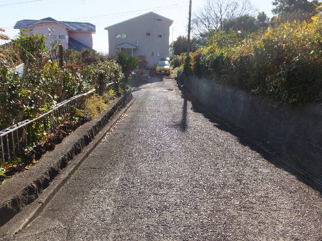 �ɓ� �s���Y 5