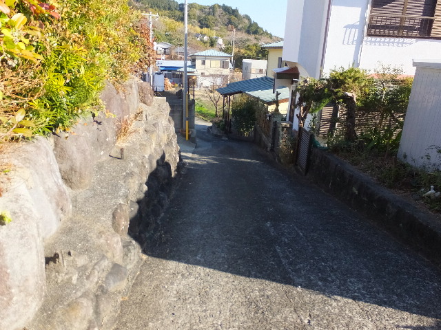 �ɓ� �s���Y 6